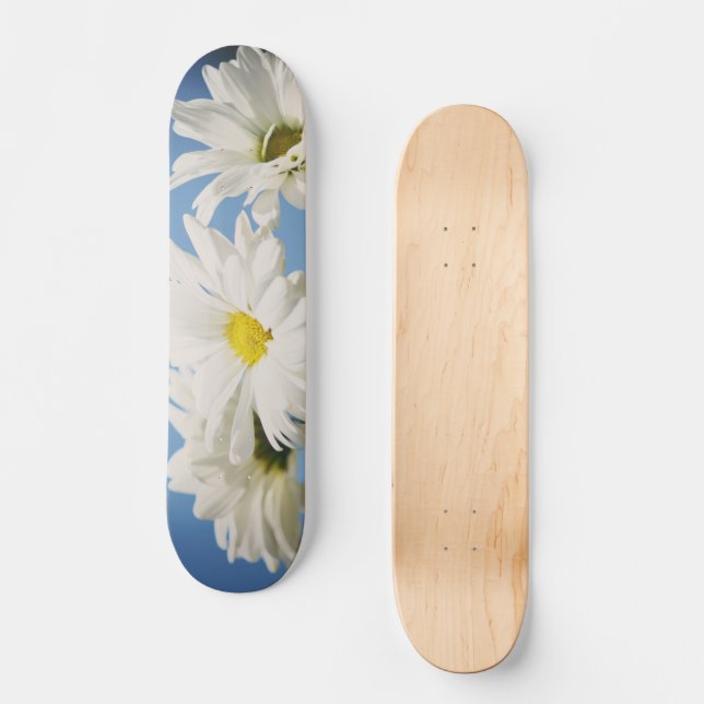 Skateboard Marguerites blanches vintages (Recto)