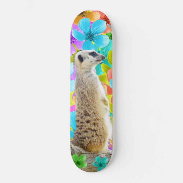 Skateboard Meerkat Et Fleurs, (Recto)