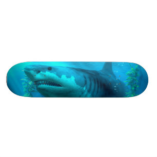 Skateboard Megalodon