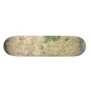 Skateboard Mille de 161 Barley/sq