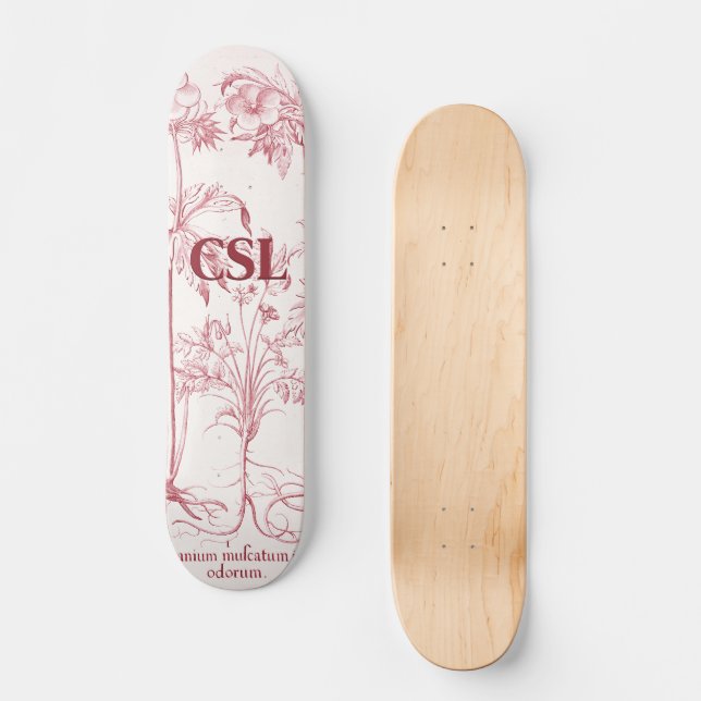 Skateboard Monogramme d'art Vintage rose (Recto)