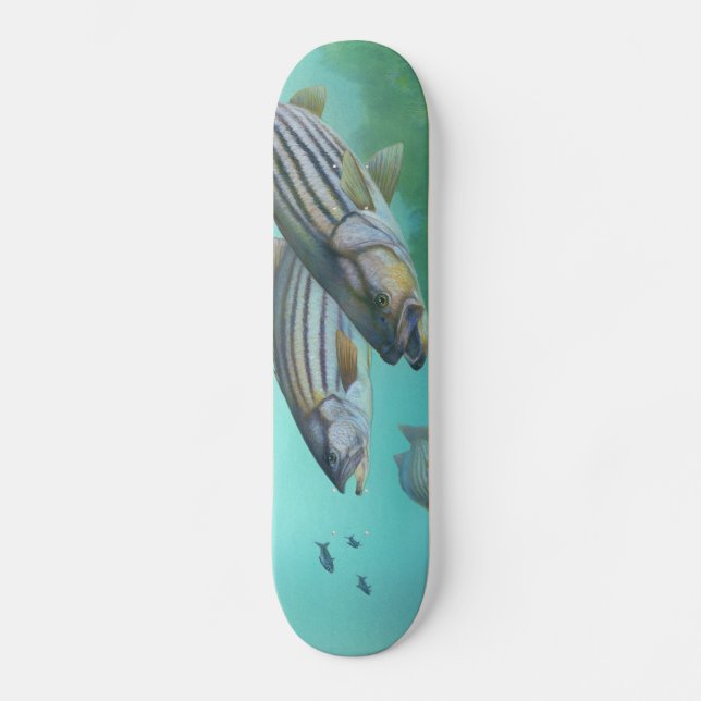Skateboard Morone atlantique Saxatilis de poissons de bar (Recto)