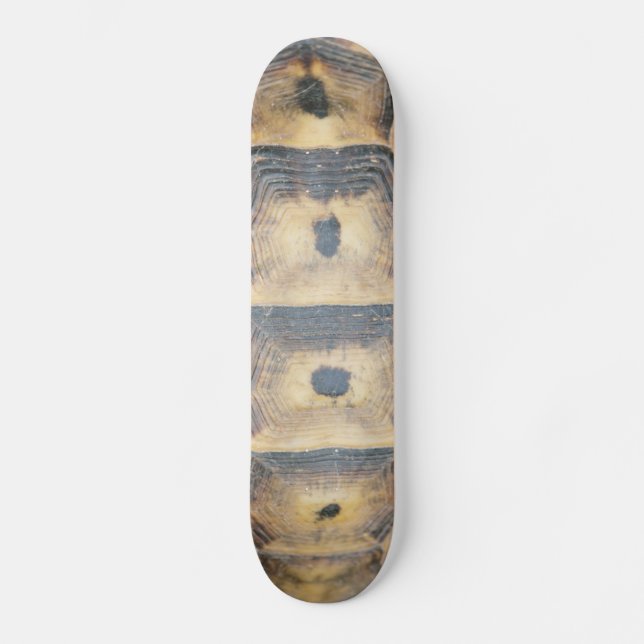 Skateboard Motif Tortoise Shell (Recto)