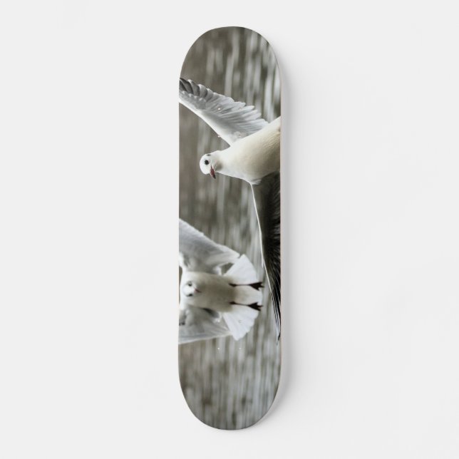 Skateboard Mouettes en vol (Recto)