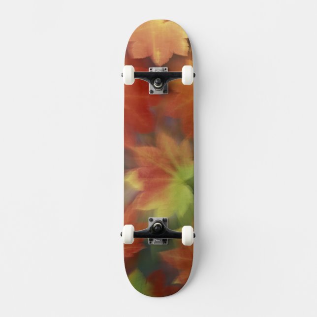 Skateboard NA, États-Unis, Washington, Issaquah, Érable de la (Recto)