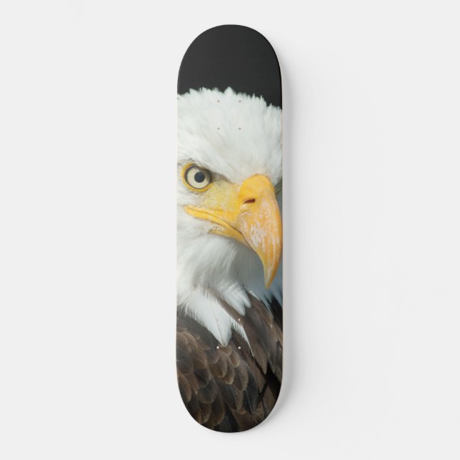 Skateboard - Nature Bird Eagle (Vorderseite)
