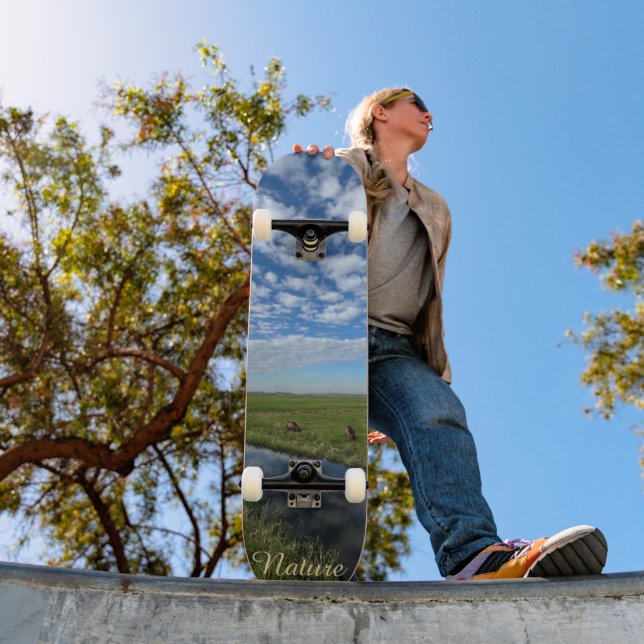 Skateboard Nature sky (Extérieur 1)