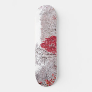 Skateboard noël d'hiver 89