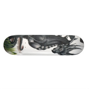 Skateboard noir-dragon