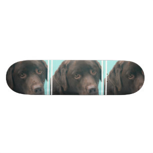 Skateboard non défini