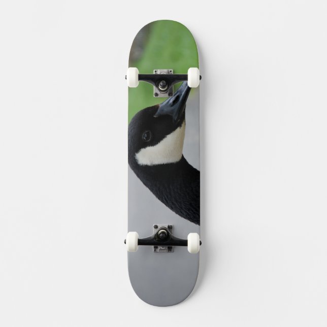 Skateboard Oie canadienne (Recto)