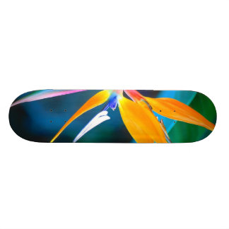 Skateboard oiseau de planche à roulettes d'Hawaï de paradis