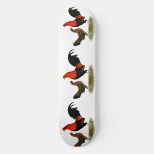 Skateboard Old English Game Bantams : paire BB rouge
