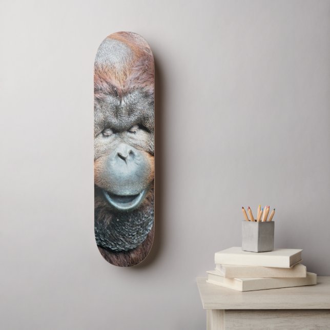 SKATEBOARD ORANGUTANS (Art mural)