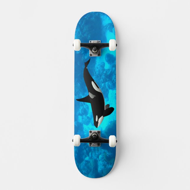 Skateboard Orca (Recto)