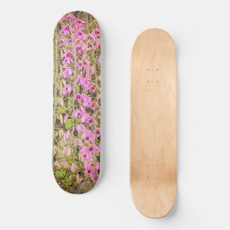 Skateboard Orchidées