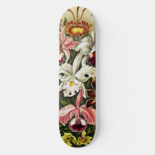Skateboard Orchidées, Orchidée Denusblumen Ernst Haeckel