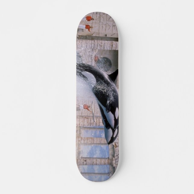 Skateboard Orque (Devant)