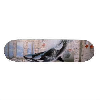 Skateboard Orque