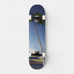 Skateboard Palm trees and sunset, Plantation Island