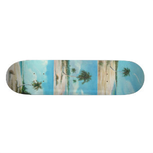 Skateboard palma, arène de playa, playita