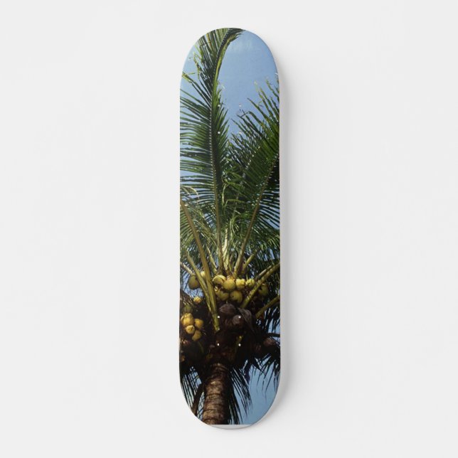 Skateboard Palmier à coco (Devant)