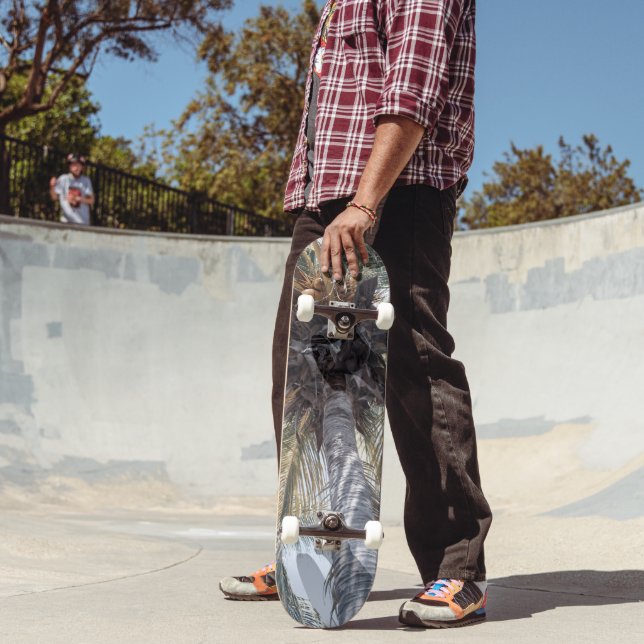 Skateboard Palmier Chill Coconut Summer 1 (Extérieur 2)