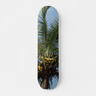 Skateboard Palmier de noix de coco