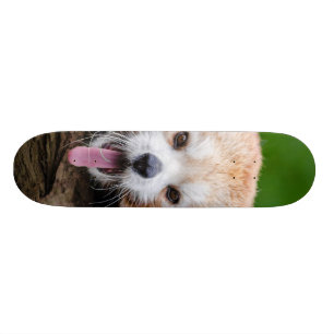 Skateboard Panda rouge