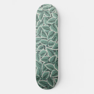 Skateboard Papier peint de la maison de Jane Austen