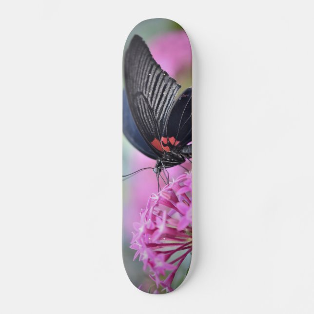 Skateboard Papillon sur fleur (Recto)