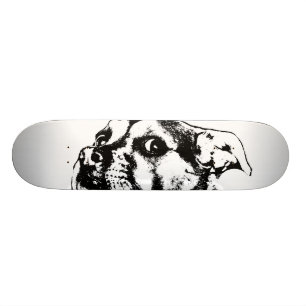 Skateboard Paquet à roulettes