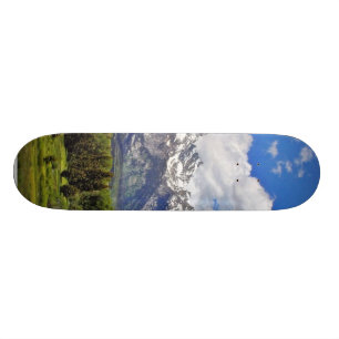Skateboard Parc national grand de Teton