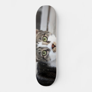 Skateboard Patinage