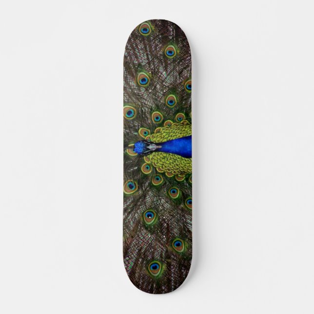 Skateboard Patinage (Devant)