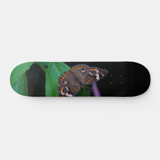 Skateboard Patinage à papillon tacheté (Horz)