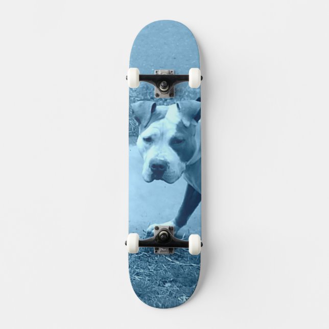Skateboard Patinage Blue Pit Bull (Recto)