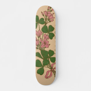 Skateboard Patinage de clôture