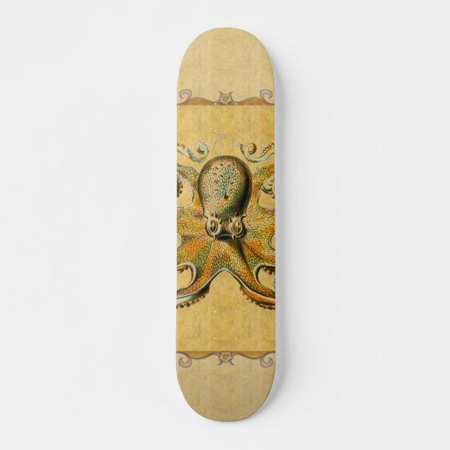 Skateboard Patinage d'Octopus (Devant)
