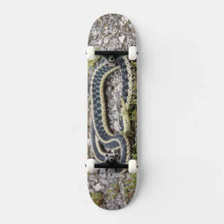 Skateboard Patinage Snake 7¾"