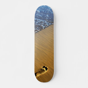 Skateboard Patinage sur la plage