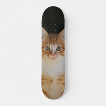 Patineta Gato amarillo Y Blanco Atento