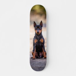 Skateboard Patineta Perro Pinscher Miniatura Sentado