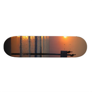 Skateboard Pelikan-Sonnenaufgang-Ozean-Daytona