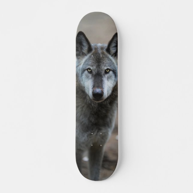 Skateboard Perro lobo salvaje depredador curioso (Devant)