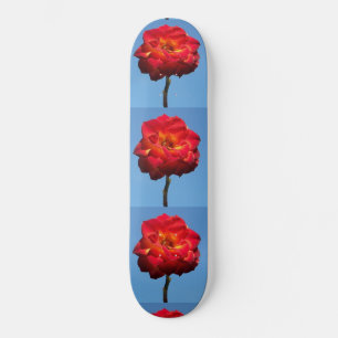 Skateboard Phoenix Rose dans le Sky-skateboard