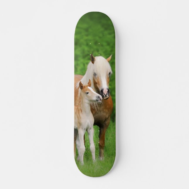 Skateboard Photo mignonne de maman de baiser de poulain de (Devant)