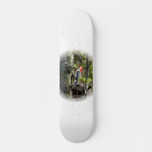 Skateboard Pic à ventre rouge