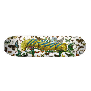 Skateboard Pilier d'Acherontia atropos