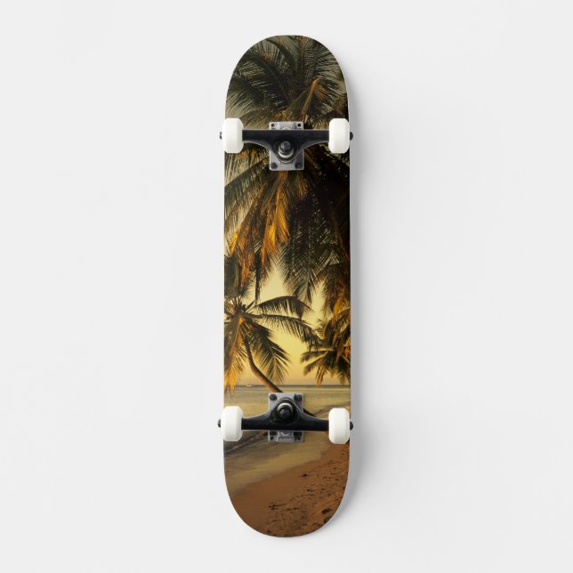 Skateboard Plage au coucher du soleil, Trinidad (Recto)